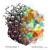 Thumbnail for the TesseracT - Survival (Errai) link, provided by host site