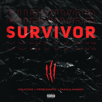 Thumbnail for the Colicchie - Survivor link, provided by host site