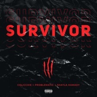 Thumbnail for the Colicchie - Survivor link, provided by host site