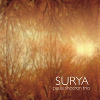 Thumbnail for the Paula Shocron - Surya link, provided by host site