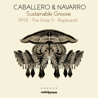 Thumbnail for the Navarro - Sustainable Groove link, provided by host site