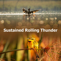 Thumbnail for the Nature Sounds Artists - Sustained Rolling Thunder link, provided by host site