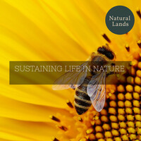 Thumbnail for the Nature Sound Series - Sustaining Life in Nature link, provided by host site