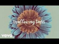 Thumbnail for the Gwen Stefani - Swallow Your Tears link, provided by host site