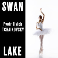 Thumbnail for the Victor Fedotov - Swan Lake, Op. 20: Interpolation No. 3, Scène Dansante (Orchestrated By Riccardo Drigo) link, provided by host site