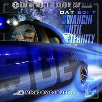 Thumbnail for the Dat Boi T - Swangin Until Eternity link, provided by host site