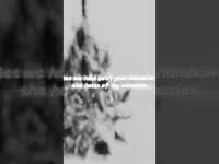 Thumbnail for the The Neighbourhood - Sweater Weather #theneighbourhoodsweaterweather #shorts link, provided by host site