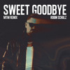 Thumbnail for the Robin Schulz - Sweet Goodbye (MTM Phonk Mix) link, provided by host site