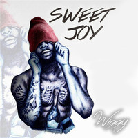 Thumbnail for the Wiggy - Sweet Joy link, provided by host site