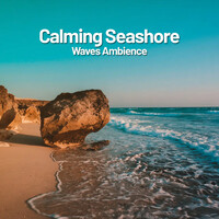 Image of Seashore Waves linking to their artist page due to link from them being at the top of the main table on this page