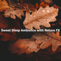 Thumbnail for the Sleep Songs with Nature Sounds - Sweet Sleep Ambience with Nature FX link, provided by host site