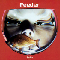 Thumbnail for the Feeder - Swim link, provided by host site