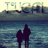 Image of Toucan linking to their artist page due to link from them being at the top of the main table on this page