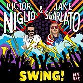 Thumbnail for the Jake Sgarlato - Swing! link, provided by host site