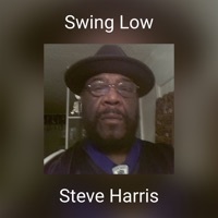 Thumbnail for the Steve Harris - Swing Low link, provided by host site