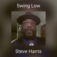 Thumbnail for the Steve Harris - Swing Low link, provided by host site