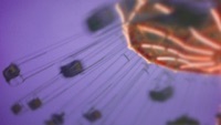 Thumbnail for the ayokay - Swing Swing link, provided by host site