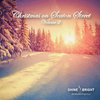 Thumbnail for the Aaron Davis - Swing Your Sleigh link, provided by host site