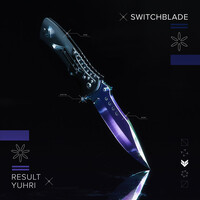 Thumbnail for the Result - Switchblade link, provided by host site