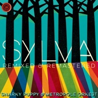 Thumbnail for the Snarky Puppy - Sylva (Remixed & Remastered) link, provided by host site