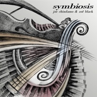 Thumbnail for the Joe Chindamo - Symbiosis link, provided by host site