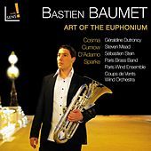Thumbnail for the Bastien Baumet - Symphonic Variants: II. Lento con teneramente link, provided by host site