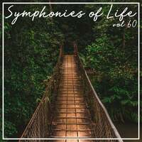 Thumbnail for the Petersen Quartet - Symphonies of Life, Vol. 60 - Schubert, Matthus: Death and the Maiden, Maiden and the Death link, provided by host site