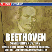 Thumbnail for the Eugen Duvier - Symphony No. 1, Op. 21: III. Menuetto link, provided by host site