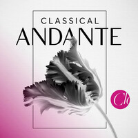 Thumbnail for the Alexander Borodin - Symphony No. 2 in B Minor: III. Andante link, provided by host site