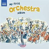 Thumbnail for the Slovak Radio Symphony Orchestra - Symphony No. 3 in E flat major, Op. 55, "Eroica": III. Scherzo: Allegro vivace link, provided by host site