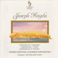 Thumbnail for the Wilfried Boettcher - Symphony No. 7 in C Major, Hob I:7 "Noon": II. Recitativo link, provided by host site