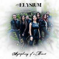 Thumbnail for the Elysium - Symphony of a Forest link, provided by host site