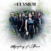 Thumbnail for the Elysium - Symphony of a Forest link, provided by host site