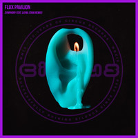 Thumbnail for the Flux Pavilion - Symphony (Taim Remix) link, provided by host site