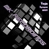 Thumbnail for the Vegim - Synapse link, provided by host site