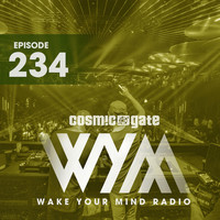 Thumbnail for the Mat Zo - Synapse Dynamics (Throwback) (WYM234) - Arty Remix link, provided by host site