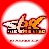 Thumbnail for the Robert Noise - Synapse E.P link, provided by host site