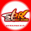 Thumbnail for the Robert Noise - Synapse E.P link, provided by host site