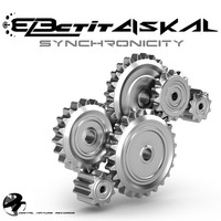 Thumbnail for the Electit - Synchronicity link, provided by host site