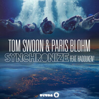 Thumbnail for the Tom Swoon - Synchronize link, provided by host site