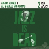 Thumbnail for the Roy Ayers - Synchronize Vibration link, provided by host site