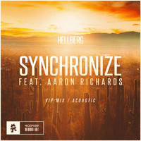 Thumbnail for the Hellberg - Synchronize (VIP Mix / Acoustic) link, provided by host site