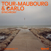 Thumbnail for the Tour-Maubourg - Synchrony link, provided by host site