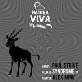 Thumbnail for the Paul Strive - Syndrome link, provided by host site
