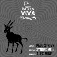 Thumbnail for the Paul Strive - Syndrome link, provided by host site