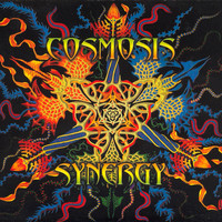 Thumbnail for the Cosmosis - Synergy link, provided by host site
