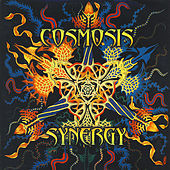 Image of Cosmosis linking to their artist page due to link from them being at the top of the main table on this page
