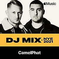 Thumbnail for the Faithless - Synthesizer [Patrice Bäumel Remix] [Mixed] link, provided by host site
