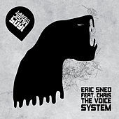 Thumbnail for the Eric Sneo - System link, provided by host site