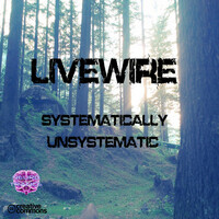 Thumbnail for the Livewire - Systematically Unsystematic link, provided by host site